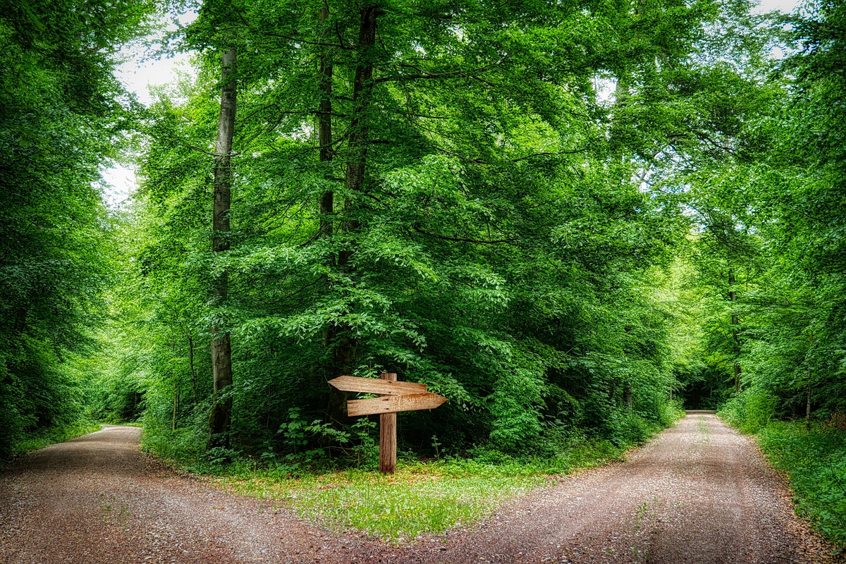 This is an image of a path split into two, with a sign in the middle pointing in both directions.